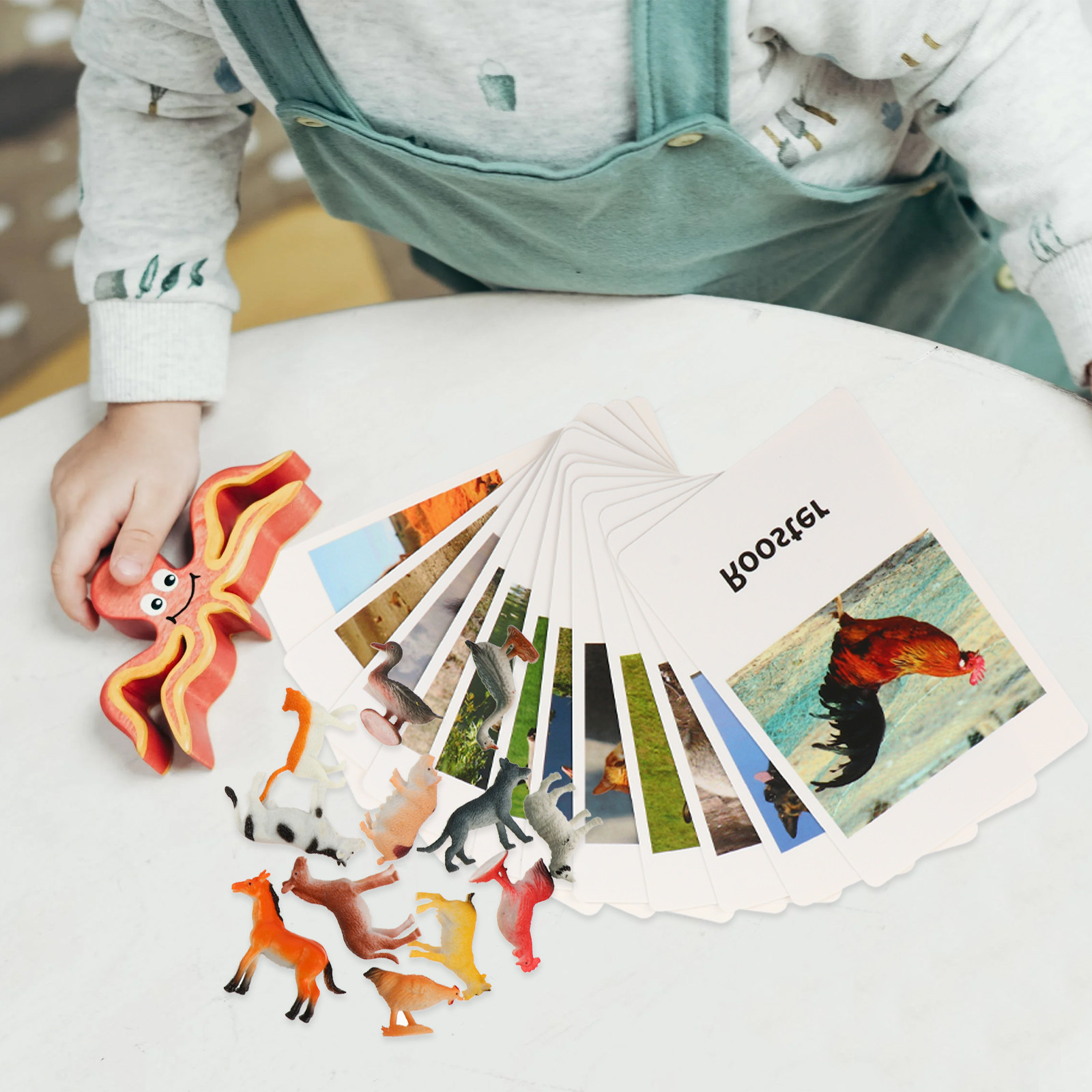 1Set Animal Cards Matching Cog - đánh giá và giá Kids Education Fun