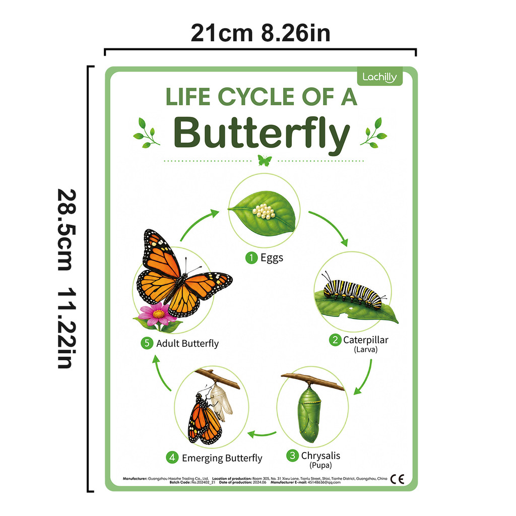 8Pcs Nature Life Cycle Educati - đánh giá và giá Kids Educational Posters