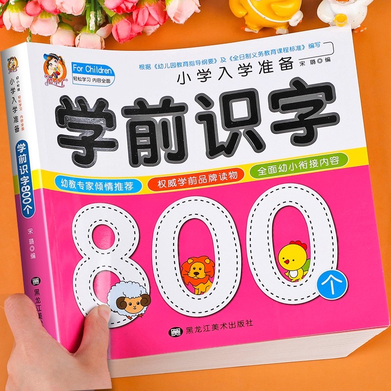 Preschool Literacy: 800 Chines - đánh giá và giá Kids Education Books
