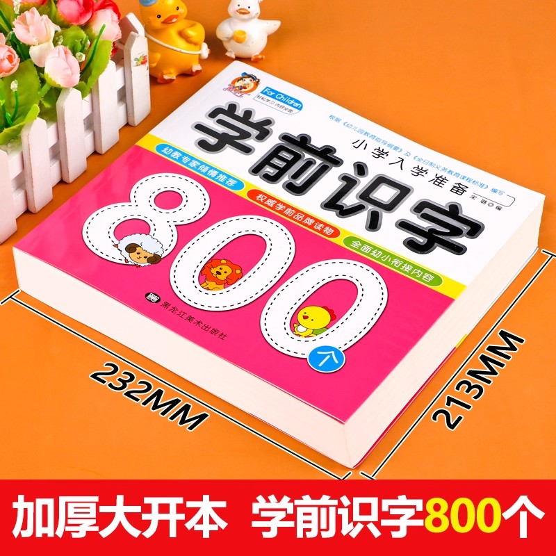 Preschool Literacy: 800 Chines - đánh giá và giá Kids Education Books