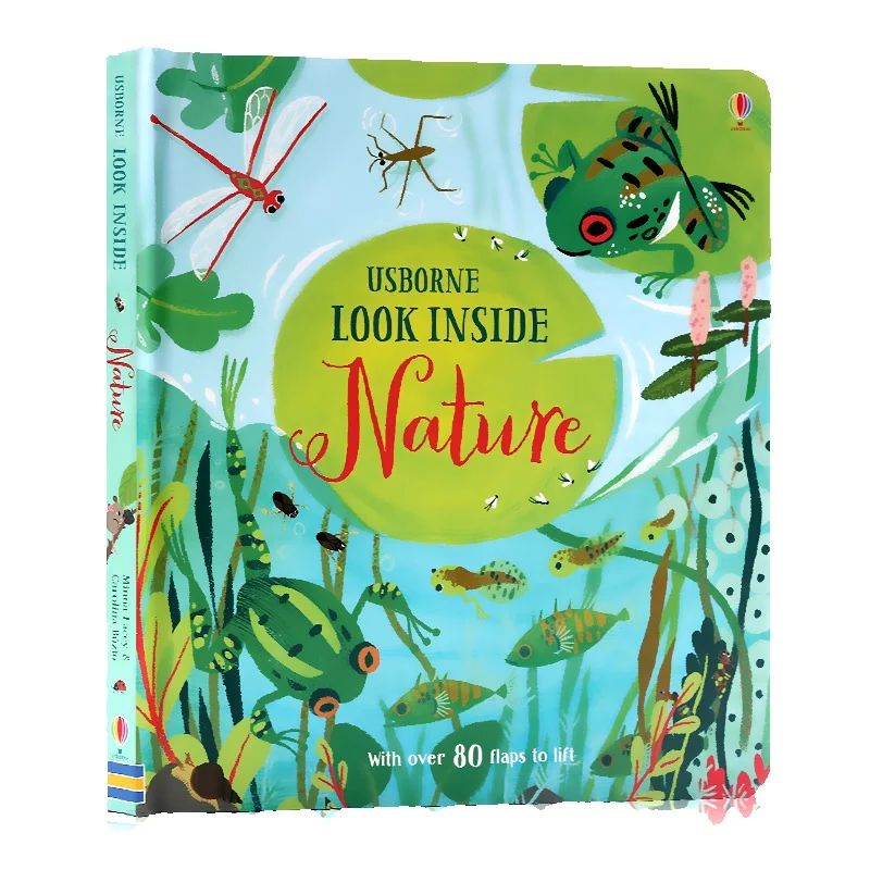 English Montessori 3D Usborne  - đánh giá và giá Kids Education Board