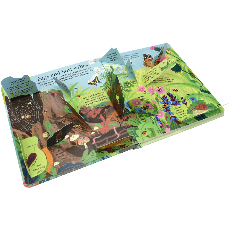 English Montessori 3D Usborne  - đánh giá và giá Kids Education Board