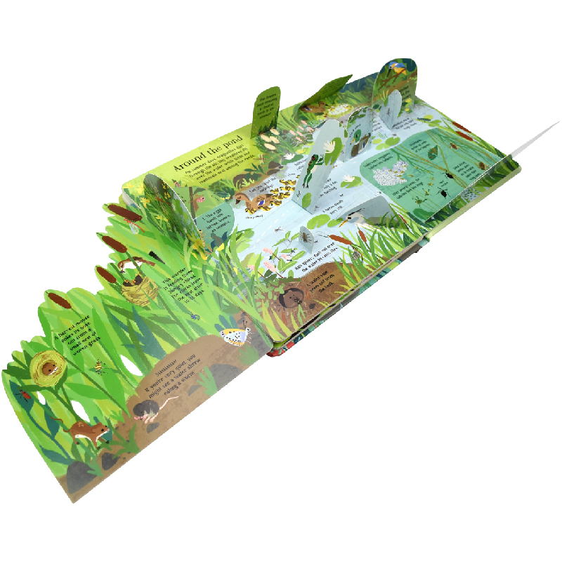 English Montessori 3D Usborne  - đánh giá và giá Kids Education Board
